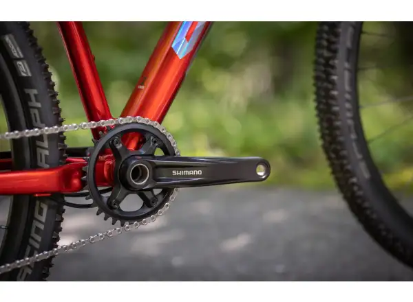 Superior XP 919 Mountainbike Gloss Dark Red/Hologram Chrome