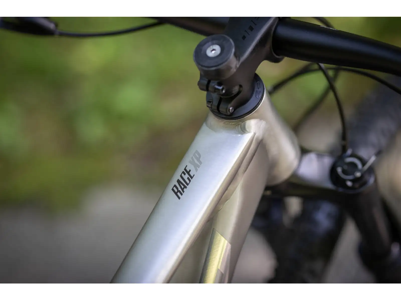 Superior XP 939 Mountainbike Brushed Alu/Hologram Chrome