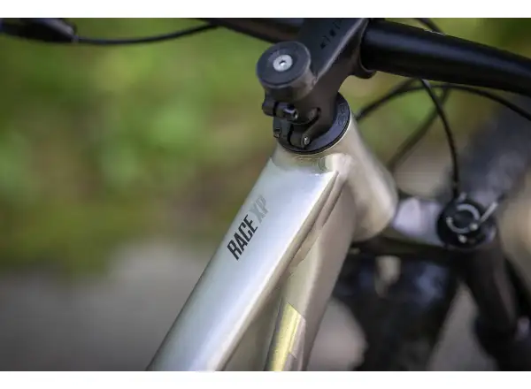 Superior XP 939 Mountainbike Brushed Alu/Hologram Chrome