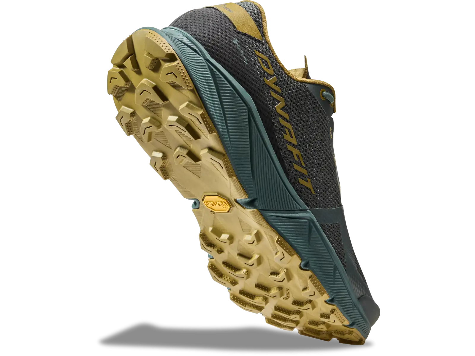 Dynafit Ultra 100 GTX Herren Schuhe Lichen/Atlantic