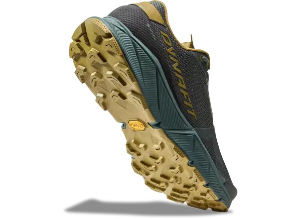 Dynafit Ultra 100 GTX Herren Schuhe Lichen/Atlantic
