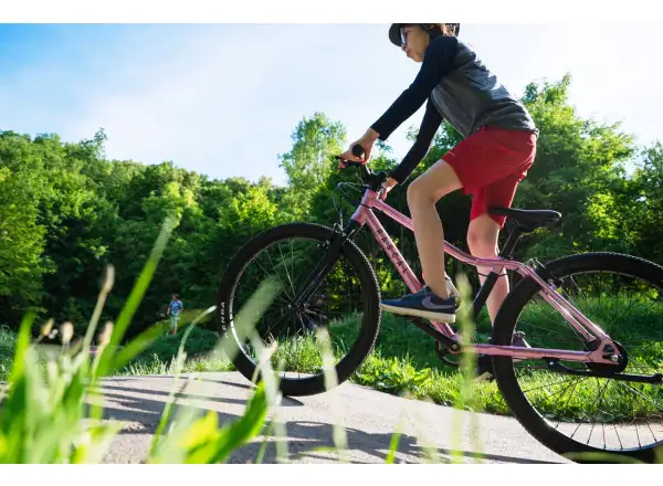 Rascal 24 7 mit Shimano Nexus Kinderfahrrad Himbeere