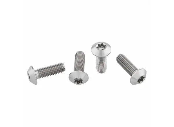Wolf Tooth Schrauben für Flaschenhalter Titanium Low Profile 4 Stück