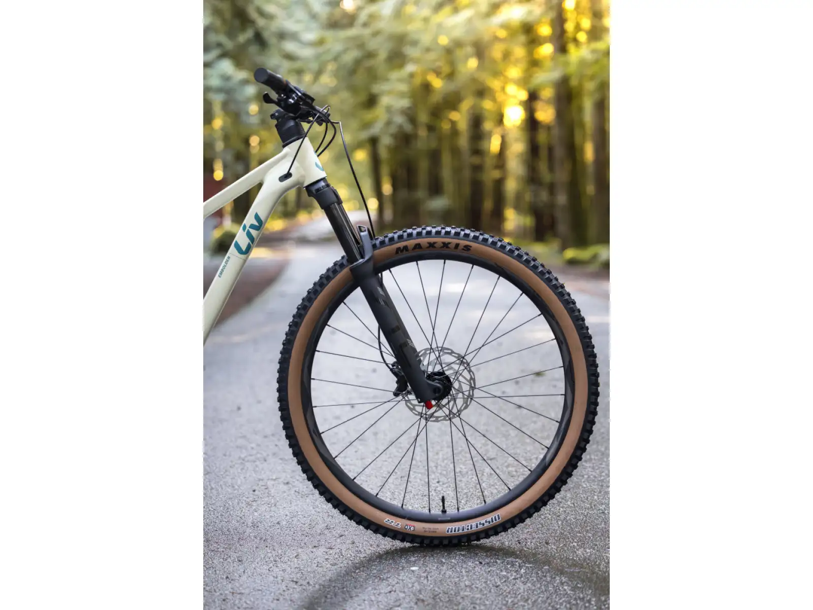 Liv Embolden 2026 Mountainbike Pale Moss