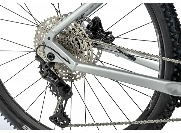 Apache Hupahu 1 E-Mountainbike (Bosch 750 Wh) Silber