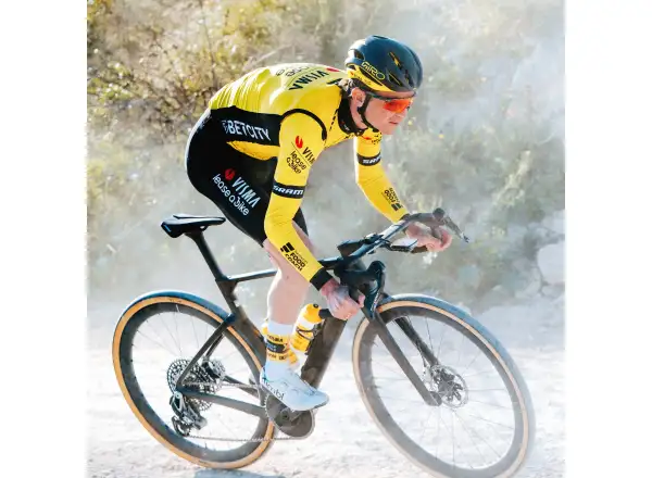 Vittoria Corsa Pro Control TLR Cotton G2.0 38-622 Straßenreifen Kevlar tan-blk-blk