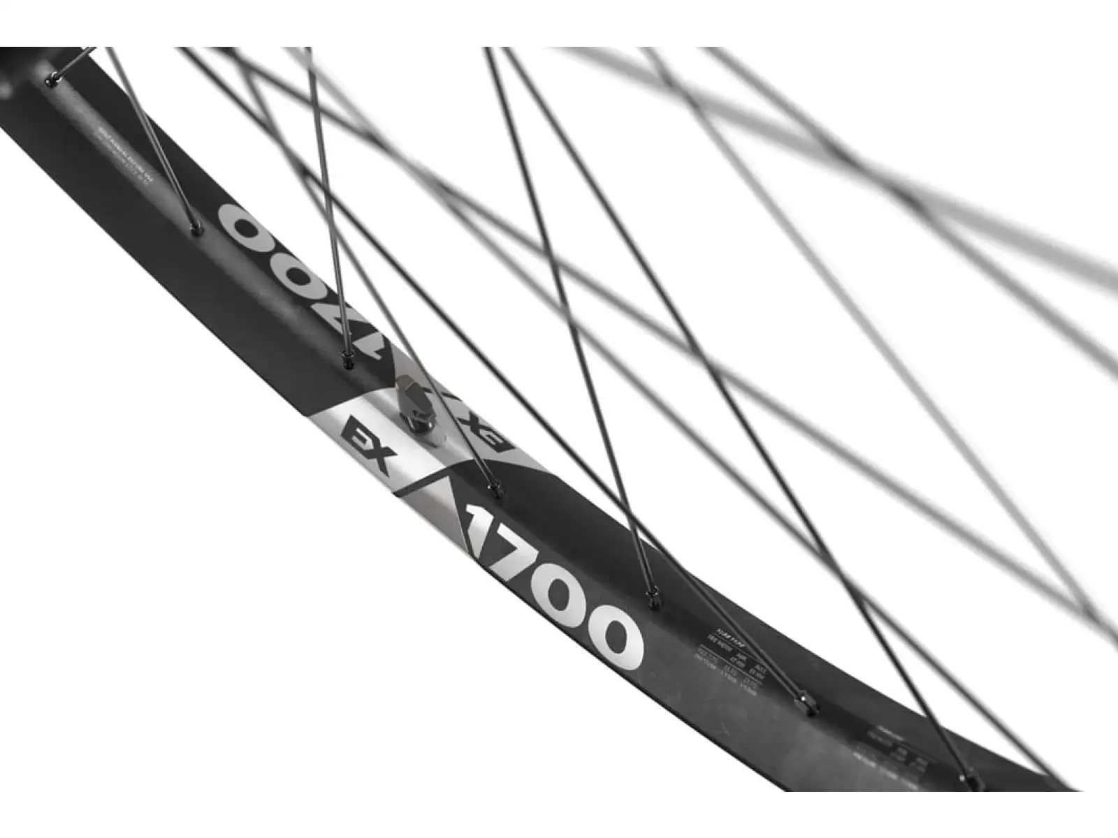 DT Swiss EX 1700 Spline Boost 29" Laufräder