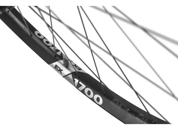 DT Swiss EX 1700 Spline Boost 29" Laufräder