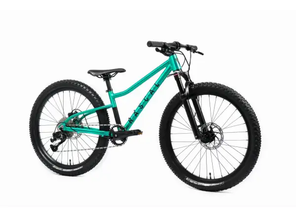 Rascal Wild 24 Kinderfahrrad Emerald