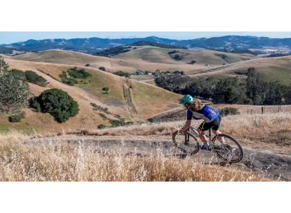 Marin Team Marin 1 29" Mountainbike Chrom/Schwarz