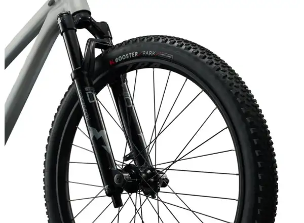 Liv STP 26 Dirt-Bike One Size Brush Aluminum