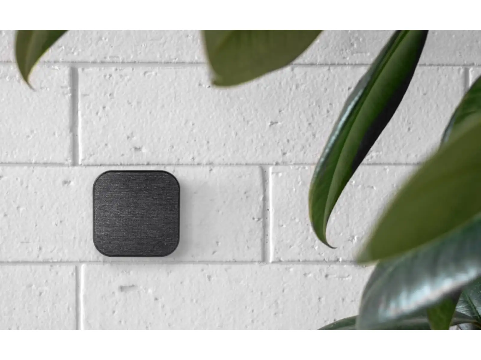 Peak Design Wall Mount magnetische Handyhalterung Charcoal