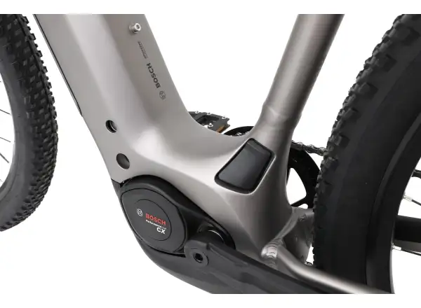 Apache Falcon 2 Bosch CX 800 Wh Mountain E-Bike grau