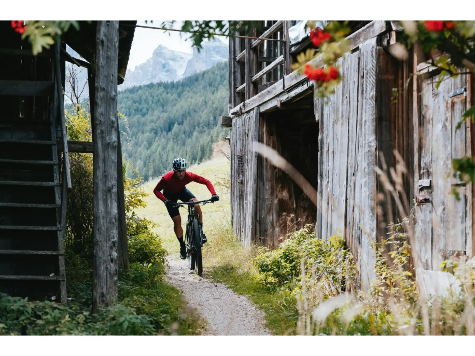 Fahrradrahmen Cervélo ZHT-5 Five Schwarz
