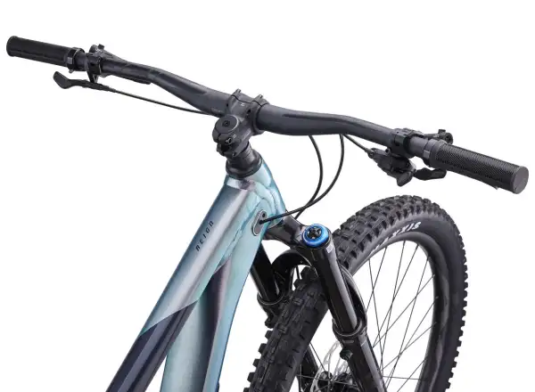 Giant Reign 1 Mountainbike Airglow/Kalte Nacht