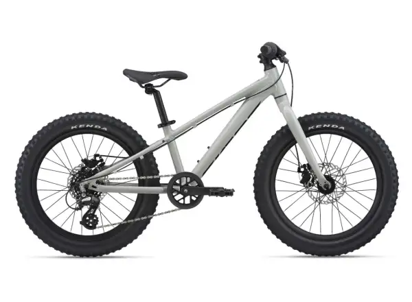 Giant STP 20 Kinderfahrrad Concrete