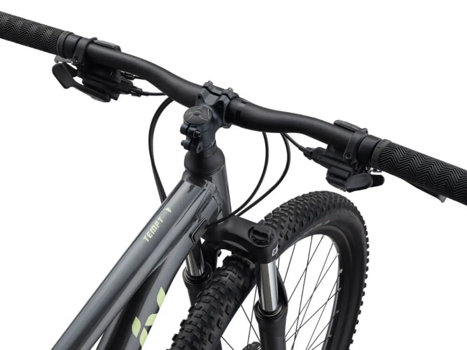 Liv Tempt 29 4 Mountainbike Black Chrome