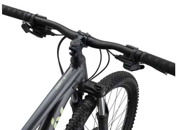 Liv Tempt 29 4 Mountainbike Black Chrome