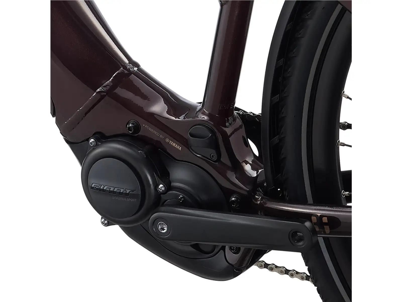 Liv Amiti E+2 Trekking E-Bike in Rosewood Color