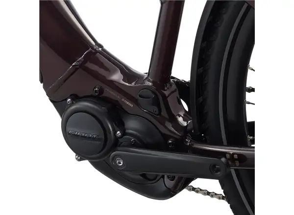 Liv Amiti E+2 Trekking E-Bike in Rosewood Color