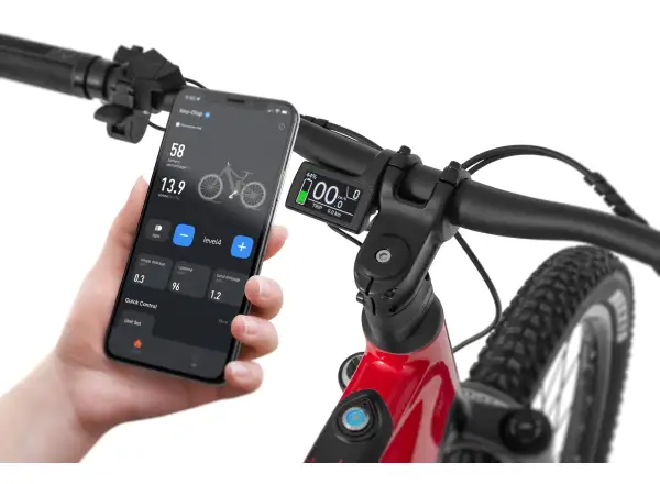 Ecobike RX 500 720 Wh schwarz rotes elektrisches Mountainbike