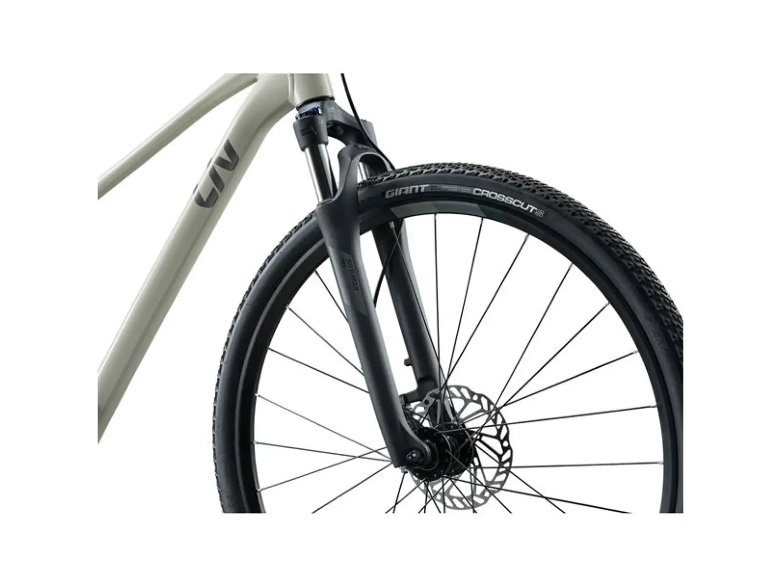 Giant Rove 3 Trekkingrad Pulp Gray