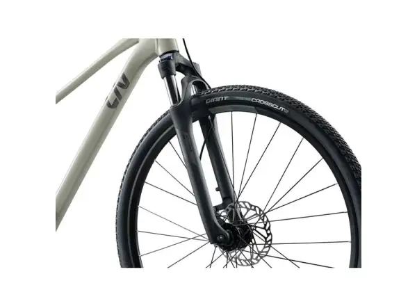 Giant Rove 3 Trekkingrad Pulp Gray