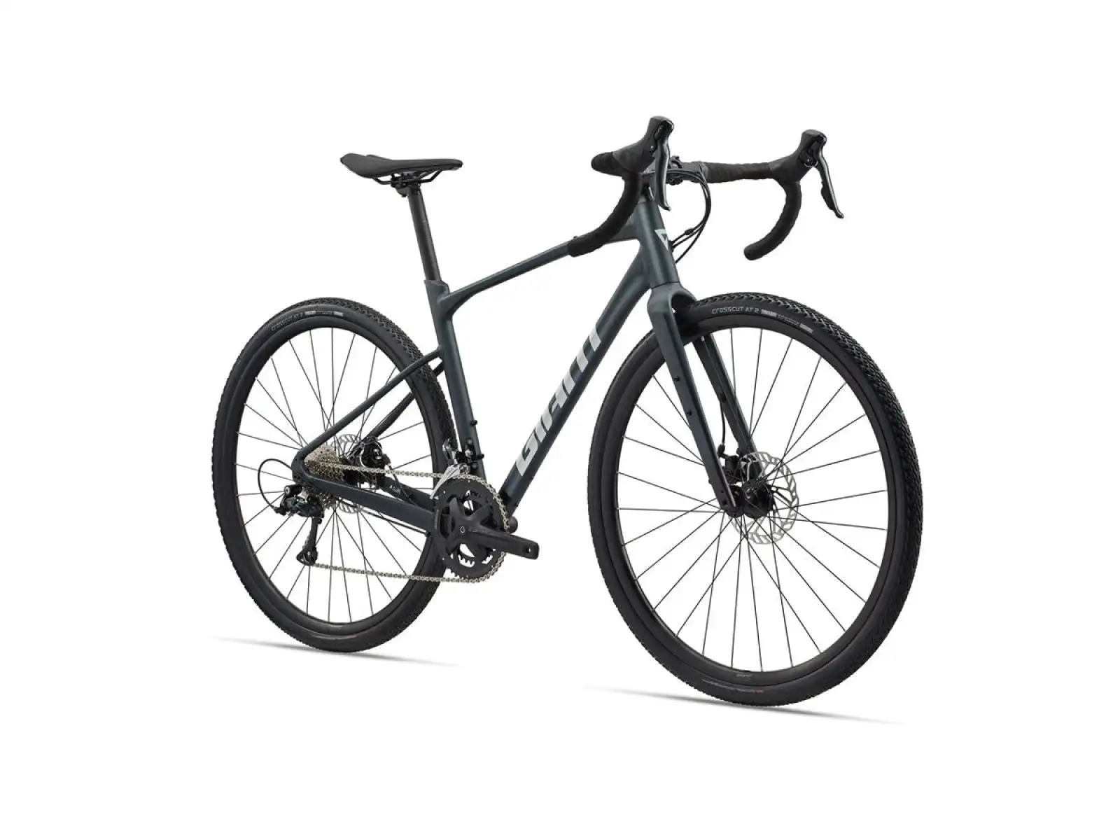 Giant Revolt 2 Gravel Fahrrad Asphalt Green