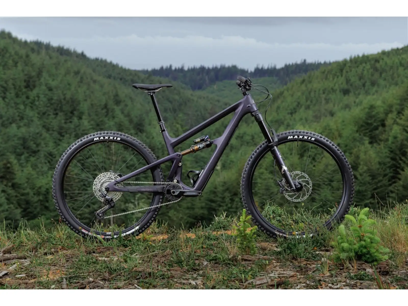 Ibis Ripmo V3 X0 Eagle AXS Mountainbike Heckleberry Purple