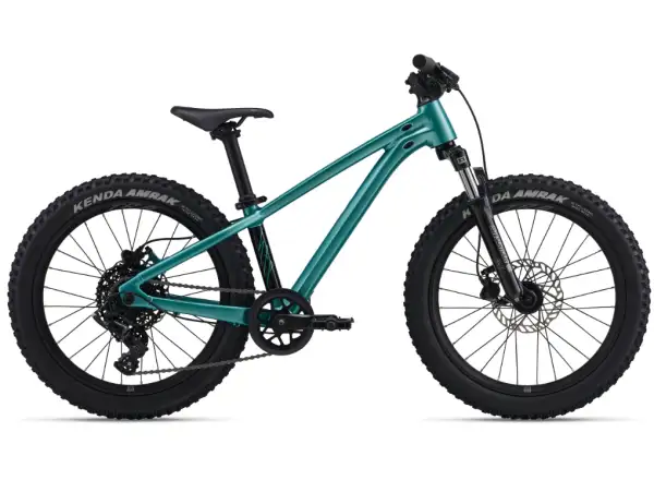 Giant STP 20 FS Kinder-Mountainbike Teal