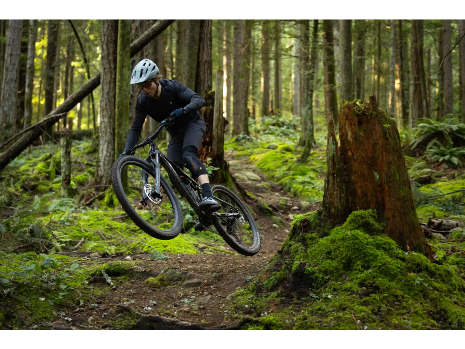 Giant Stance 2026 Mountainbike Black