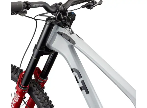 GT Fury Pro Mountainbike Grau