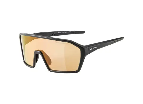 Alpina Ram Q-Lite V Brille Black Matt