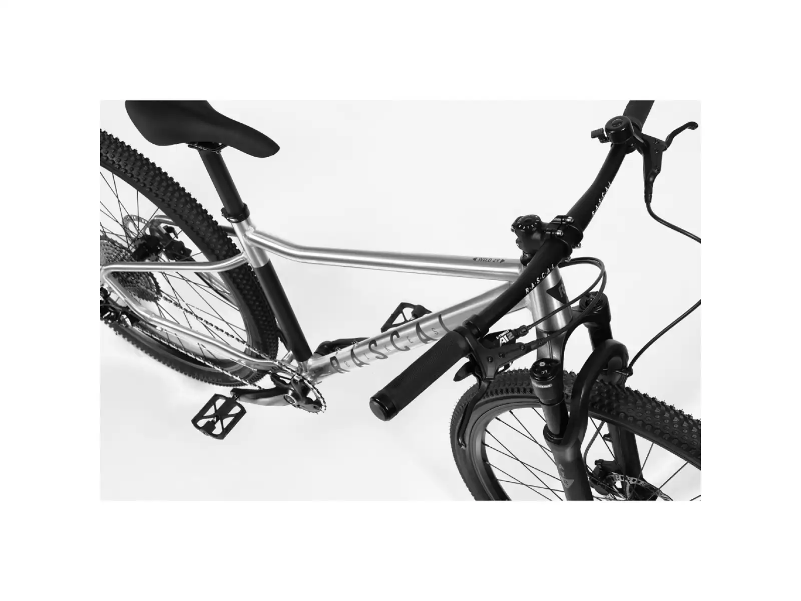 Rascal Wild 29 Limited Kinderfahrrad Silber