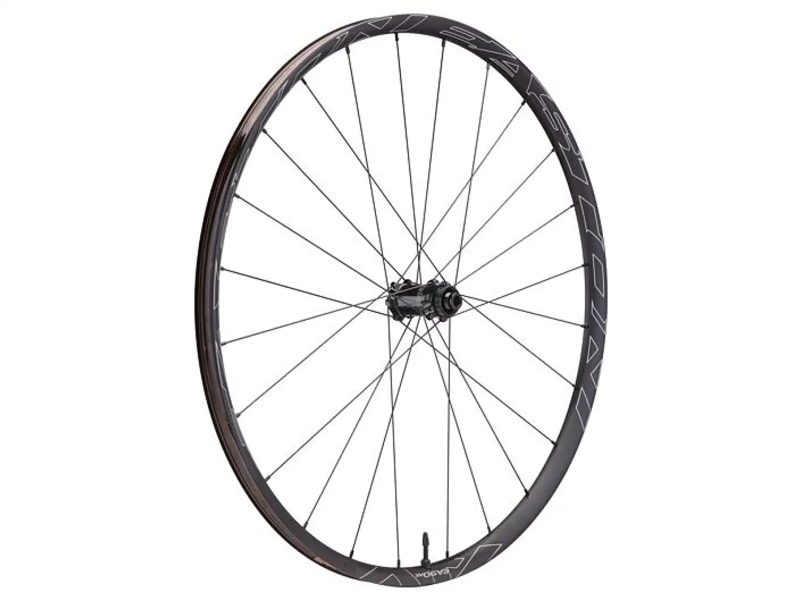 Easton EA90 AX Schotterrad 12x142 mm hinterer Nabenkörper XDR