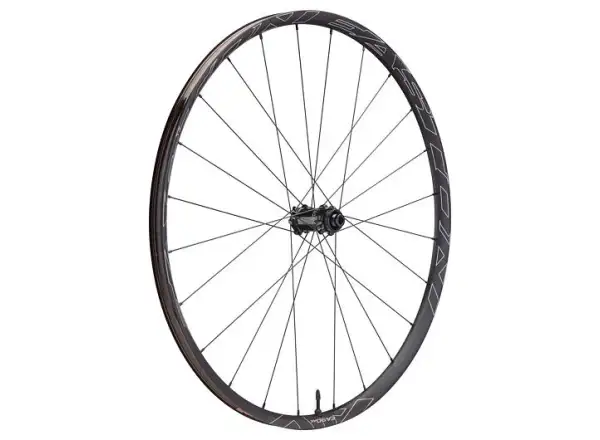 Easton EA90 AX Schotterrad 12x142 mm hinterer Nabenkörper XDR