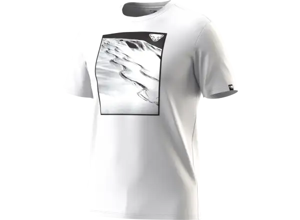 Dynafit Graphic Cotton Herren T-Shirt Kurzarm Nimbus/First Track