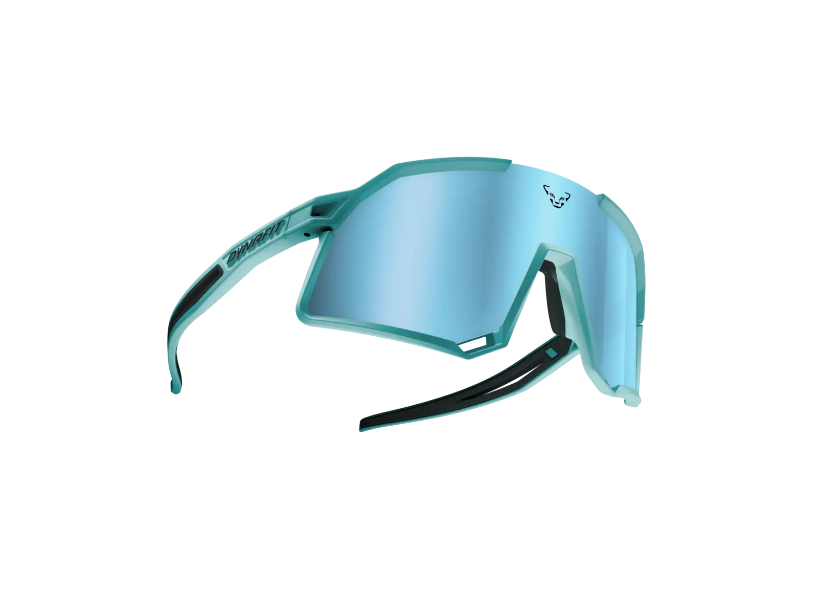 Dynafit Trail Evo Brille Marineblau/Heidelbeere