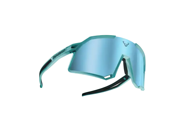 Dynafit Trail Evo Brille Marineblau/Heidelbeere