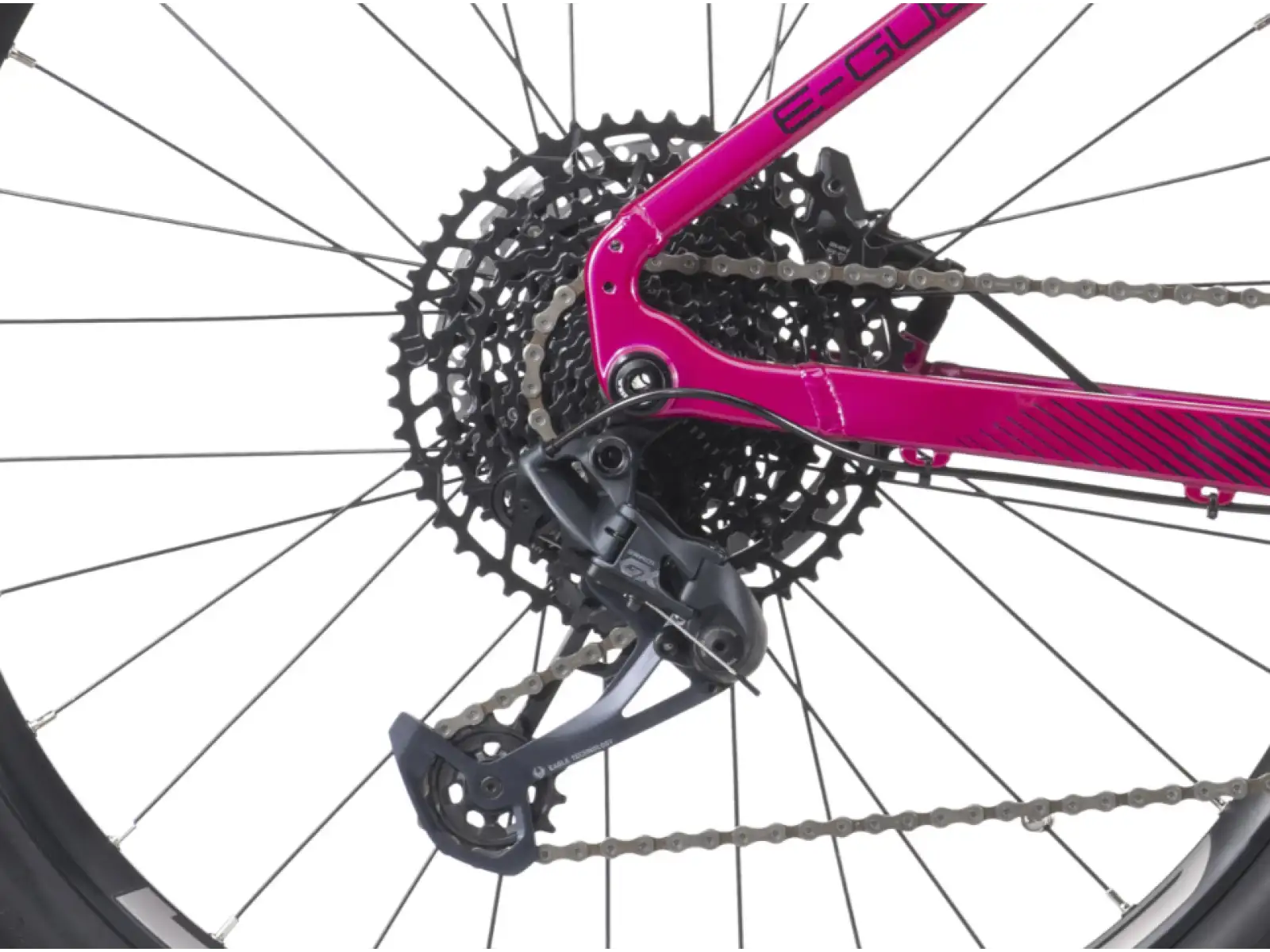 Crussis e-Guera 10.10-L (900 Wh) Mountain-E-Bike