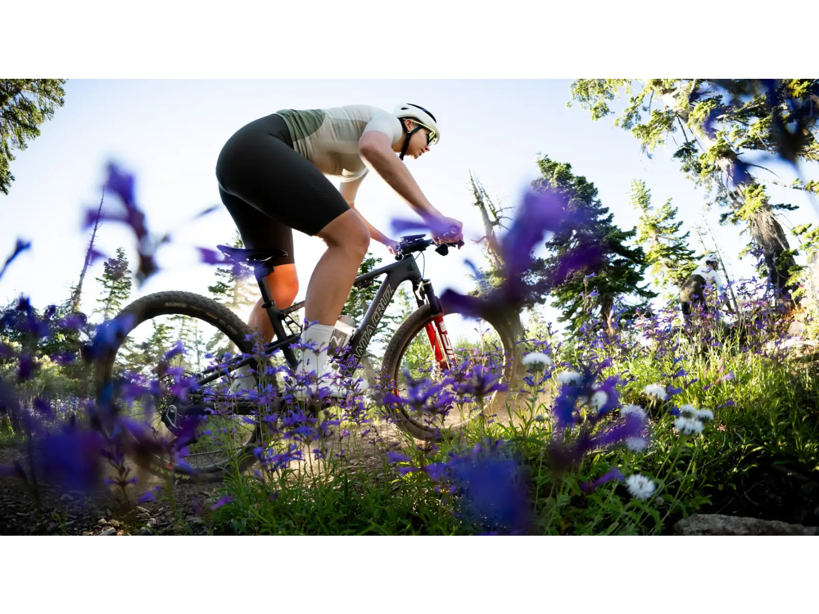 Santa Cruz Blur 5 CC 29 27 Deore Mountainbike Gloss Tart Cherry