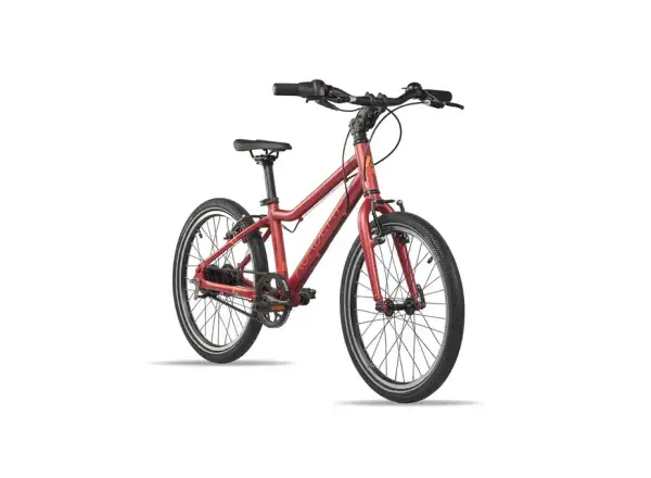 Academy Grade 4 Belt Kinderfahrrad 20" rot