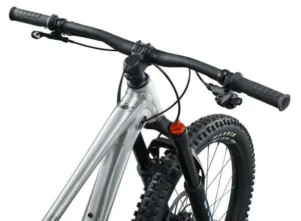 Giant Faith 24 Kinder-Fully Raw Aluminium
