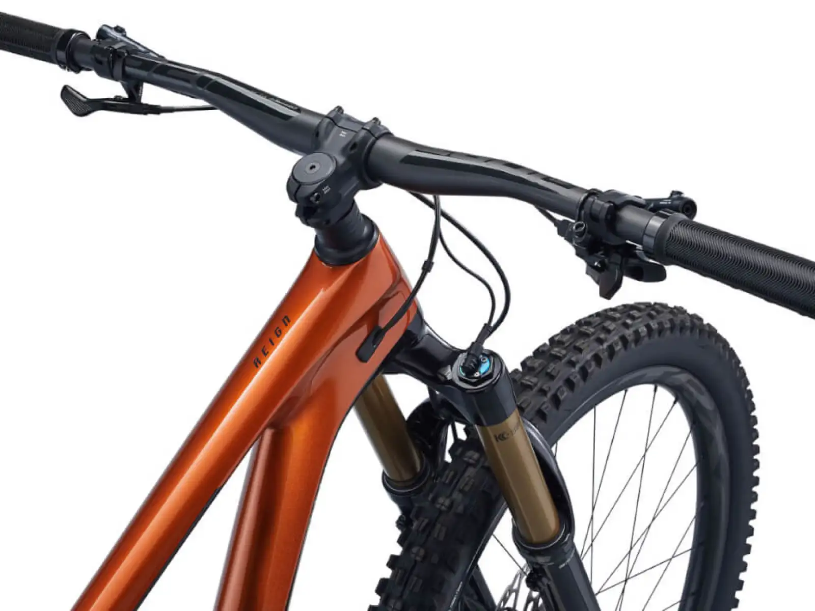 Giant Reign Advanced Pro 1 29 Mountainbike