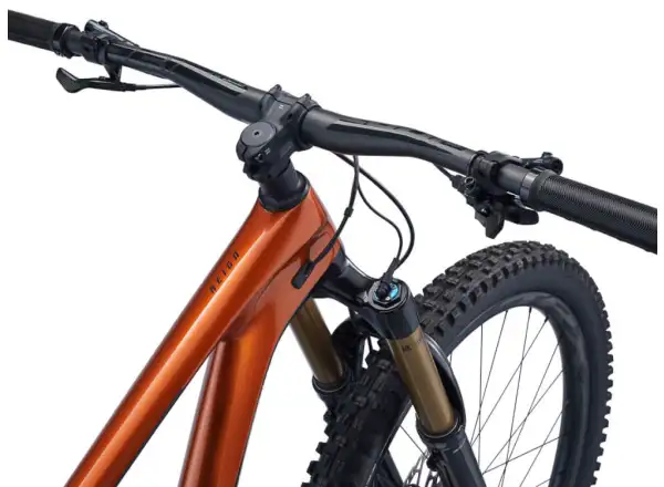 Giant Reign Advanced Pro 1 29 Mountainbike