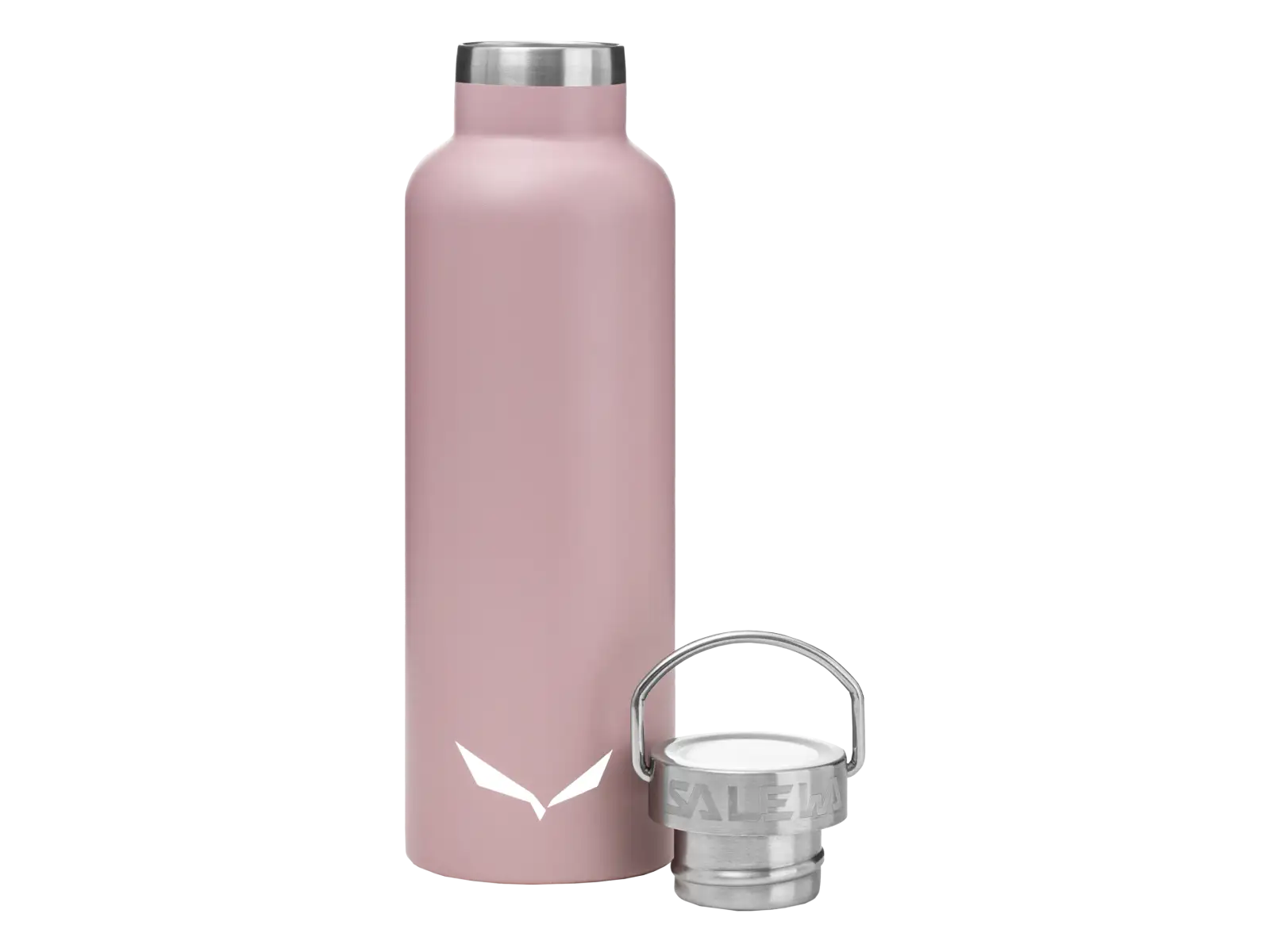 Salewa Valsura Insul Flasche 0,65 l Zephyr/Geheimes Gedicht der Natur