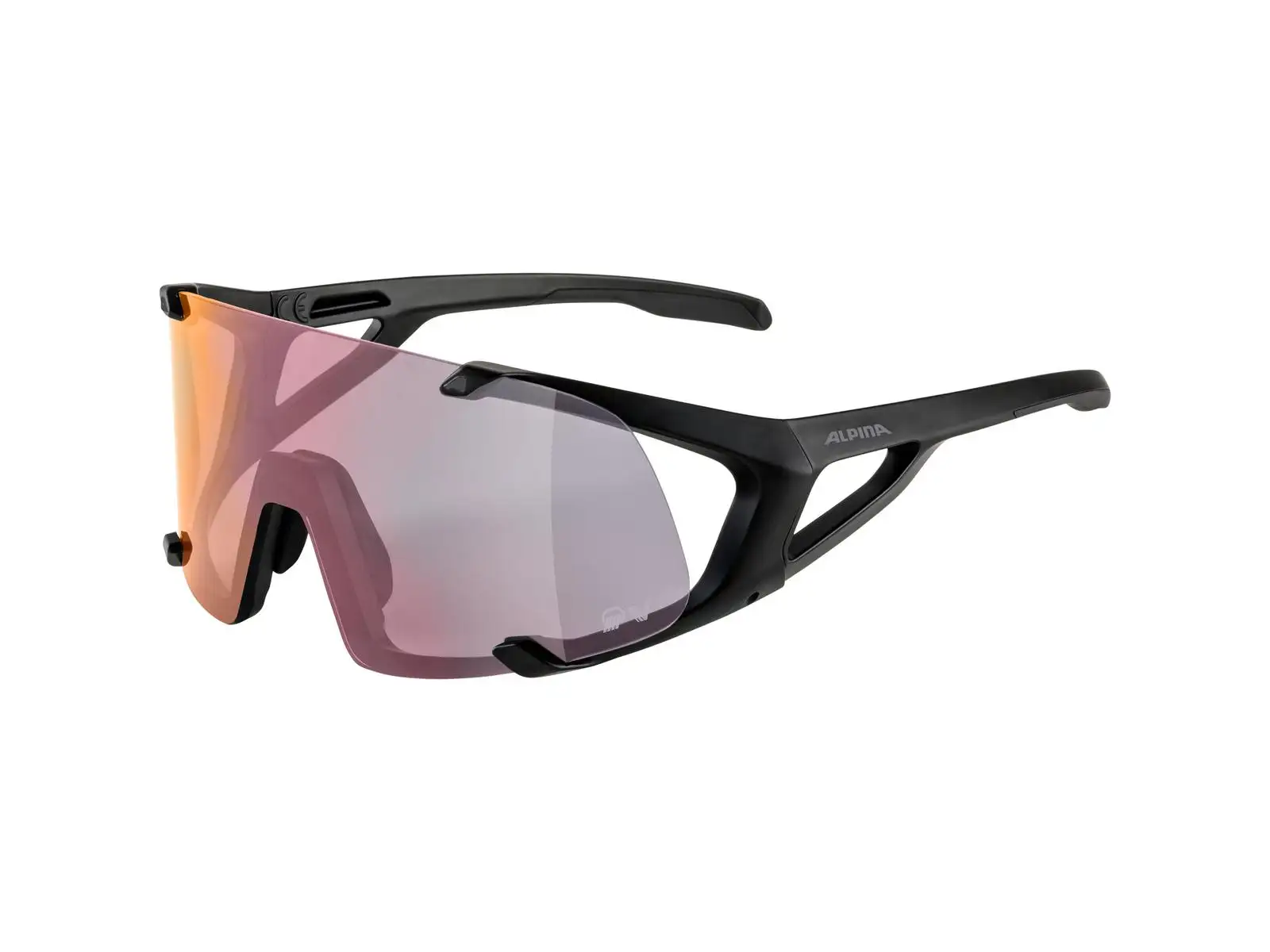 Alpina Hawkeye QV Brille Black Matt