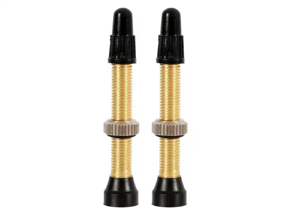 MAX1 Tubeless-Ventile, 2 Stück, schwarz.