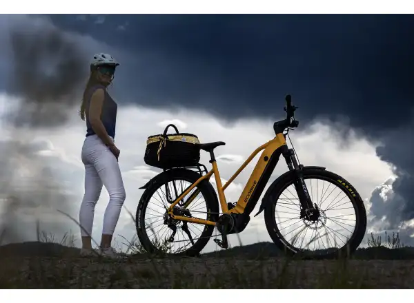 Ecobike Expedition 1080 Wh Yellow SUV Trekking-E-Bike