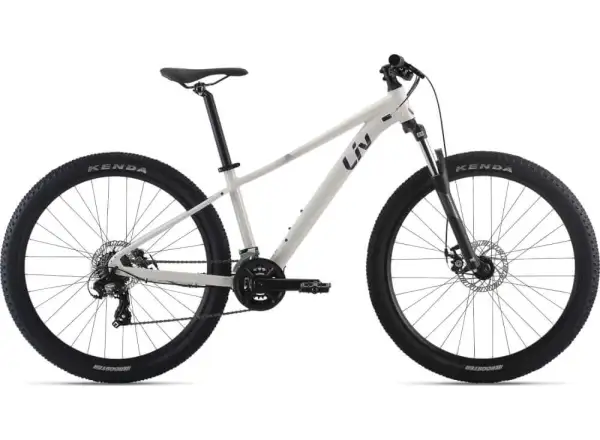 Liv Tempt 29 5 Mountainbike Schneewehen